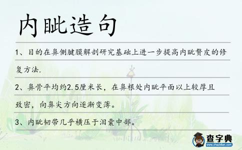 內眥造句