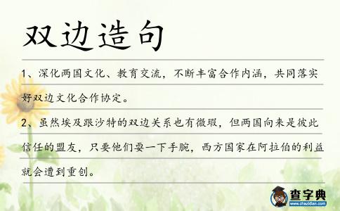 雙邊造句