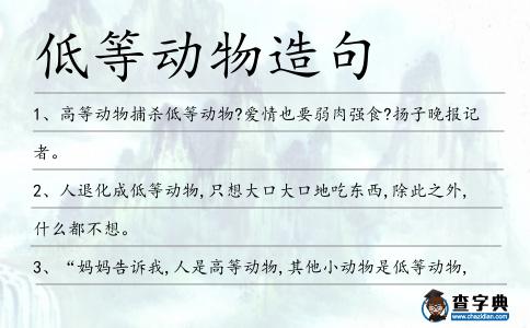 低等動物造句