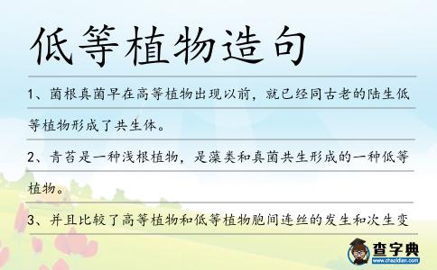 低等植物造句