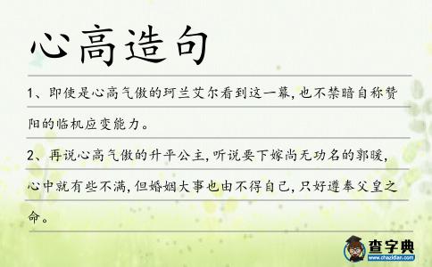 心高造句