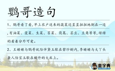 鸚哥造句