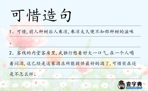 可惜造句
