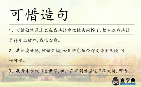可惜造句