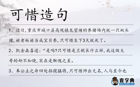 可惜造句