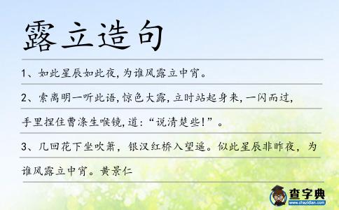 露立造句