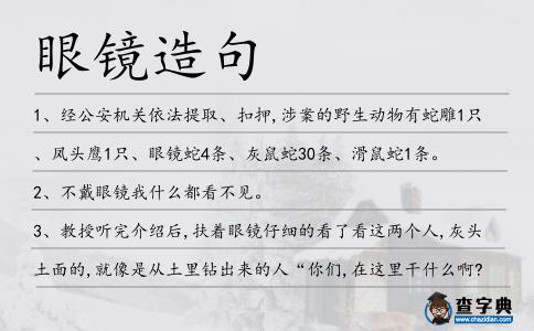 眼鏡造句