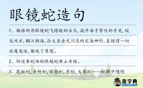 眼鏡蛇造句