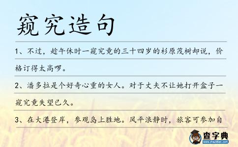 窺究造句
