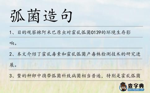 弧菌造句