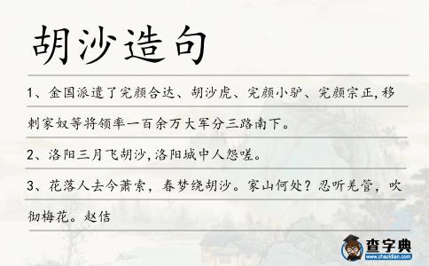 胡沙造句