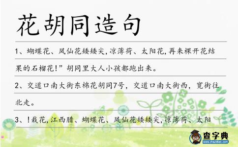 花胡同造句
