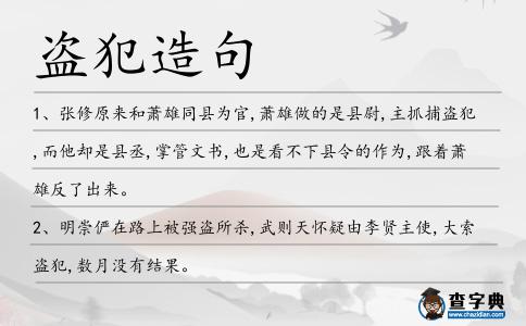 盜犯造句