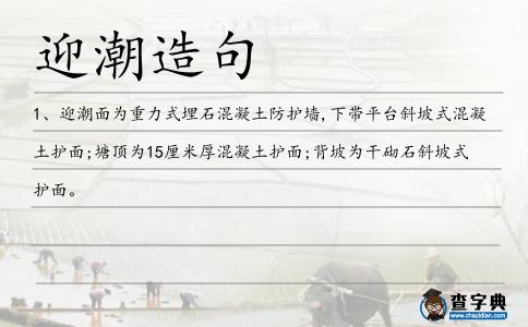 迎潮造句