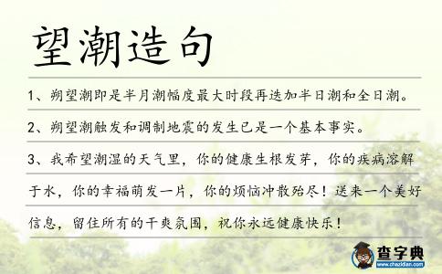 望潮造句