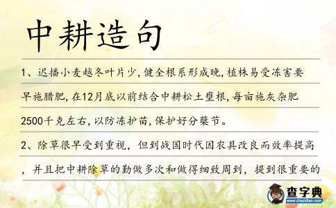 中耕造句