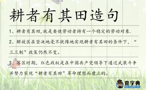 耕者有其田造句