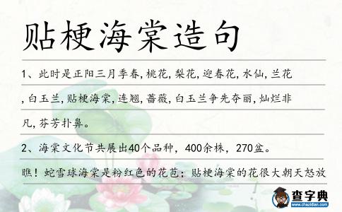 貼梗海棠造句
