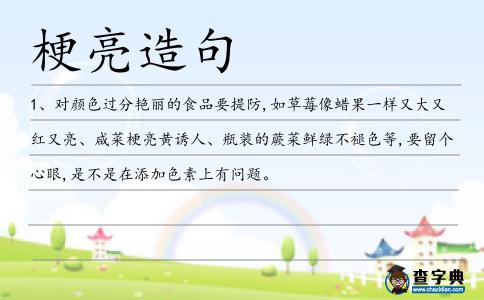 梗亮造句