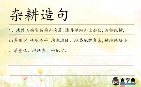 雜耕造句