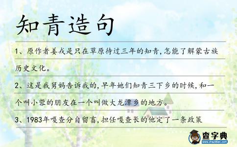知青造句