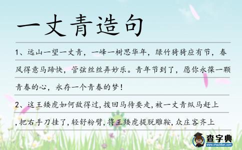 一丈青造句