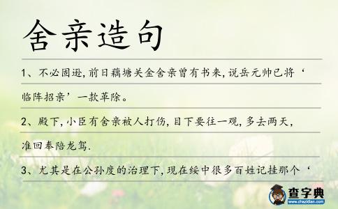 舍親造句