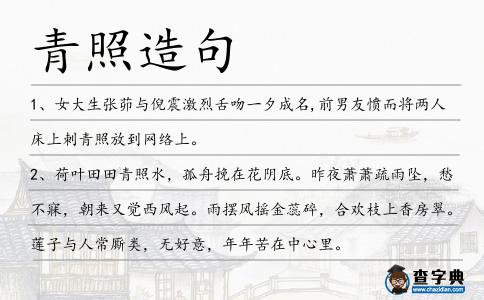 青照造句