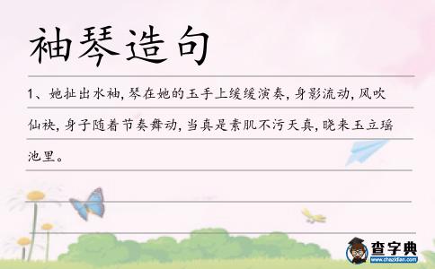 袖琴造句