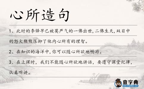 心所造句