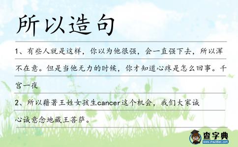 所以造句