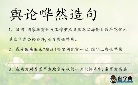 輿論嘩然造句