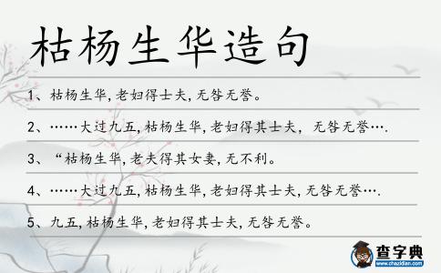 枯楊生華造句
