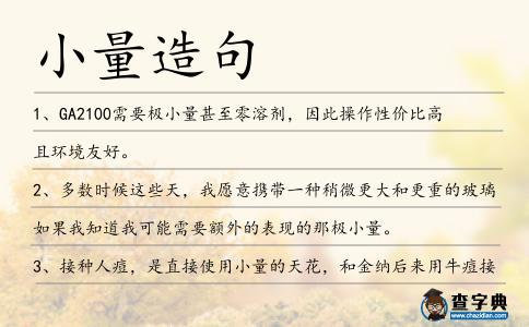 小量造句