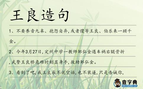 王良造句