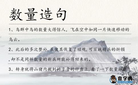 數量造句