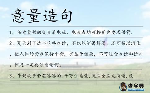 意量造句