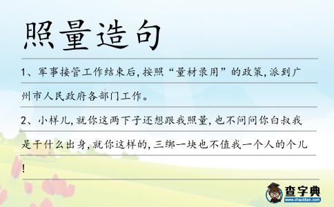 照量造句