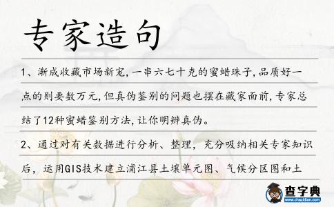 專家造句