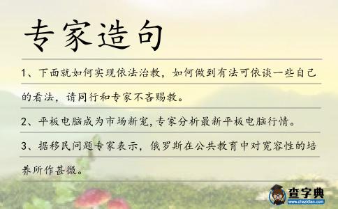 專家造句