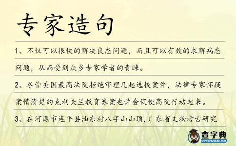 專家造句