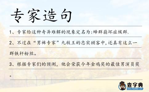 專家造句