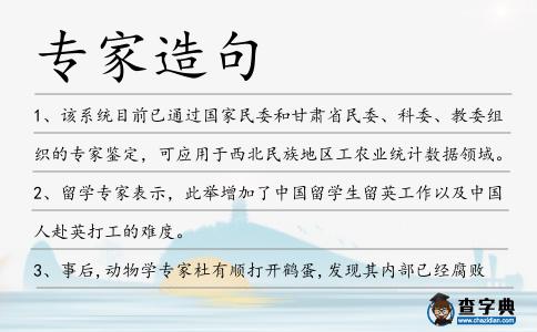 專家造句