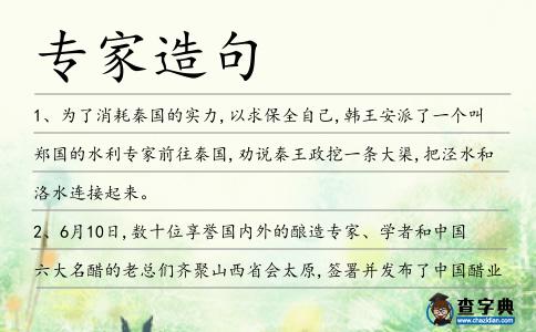 專家造句
