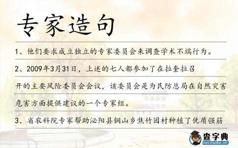專家造句