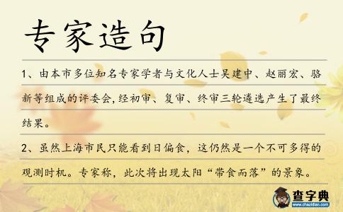 專家造句