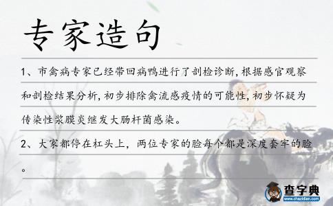 專家造句