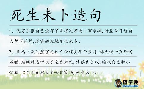 死生未卜造句
