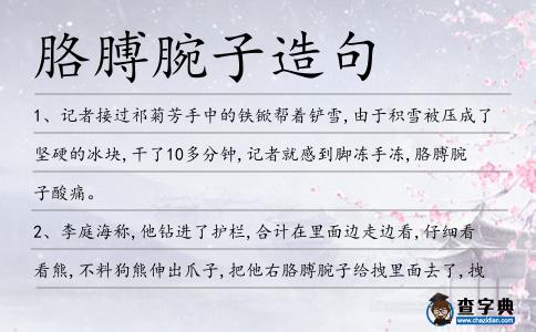胳膊腕子造句