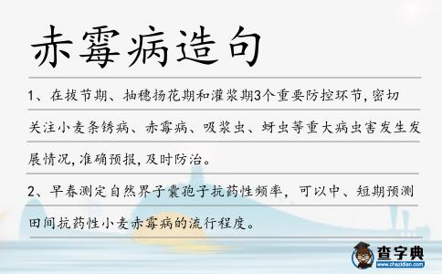 赤霉病造句